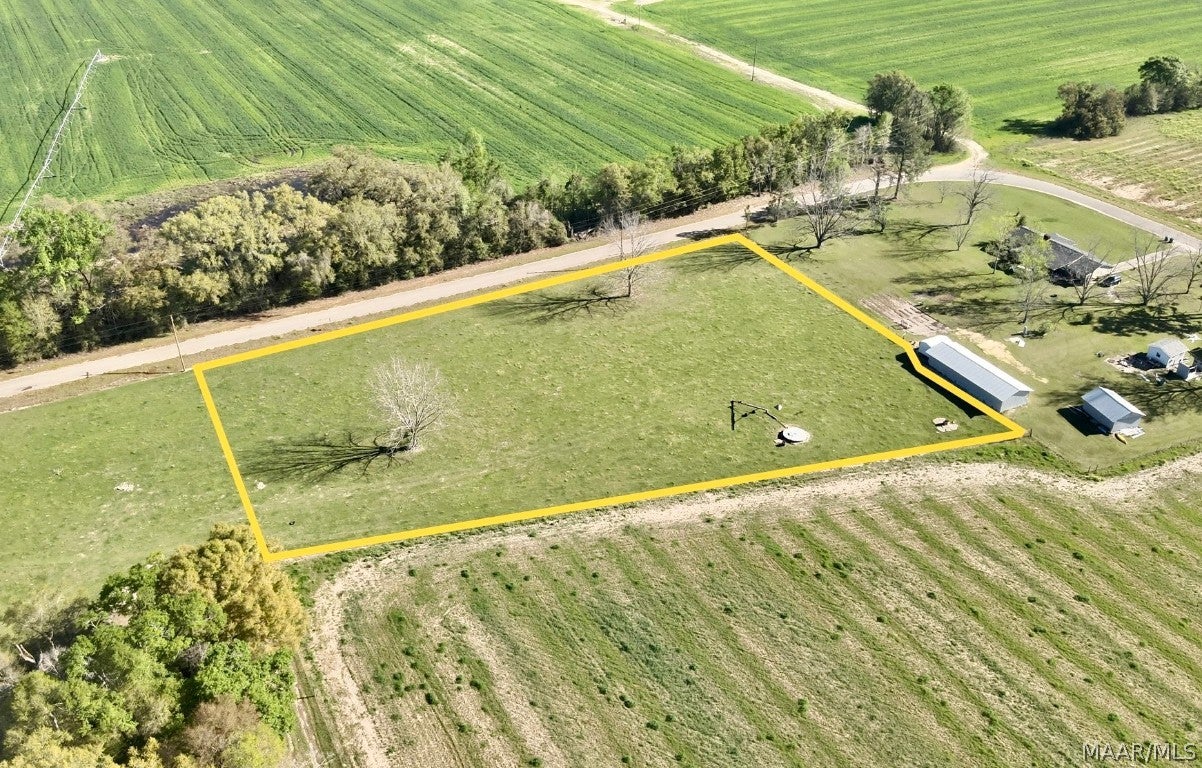 2.49-acres Ramer Loop Cottonwood, AL 36320 - Photo 3 of 8 Gallery Image 3