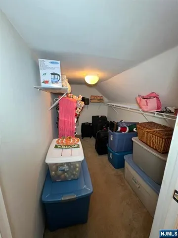 a room with furniture and a potted plant