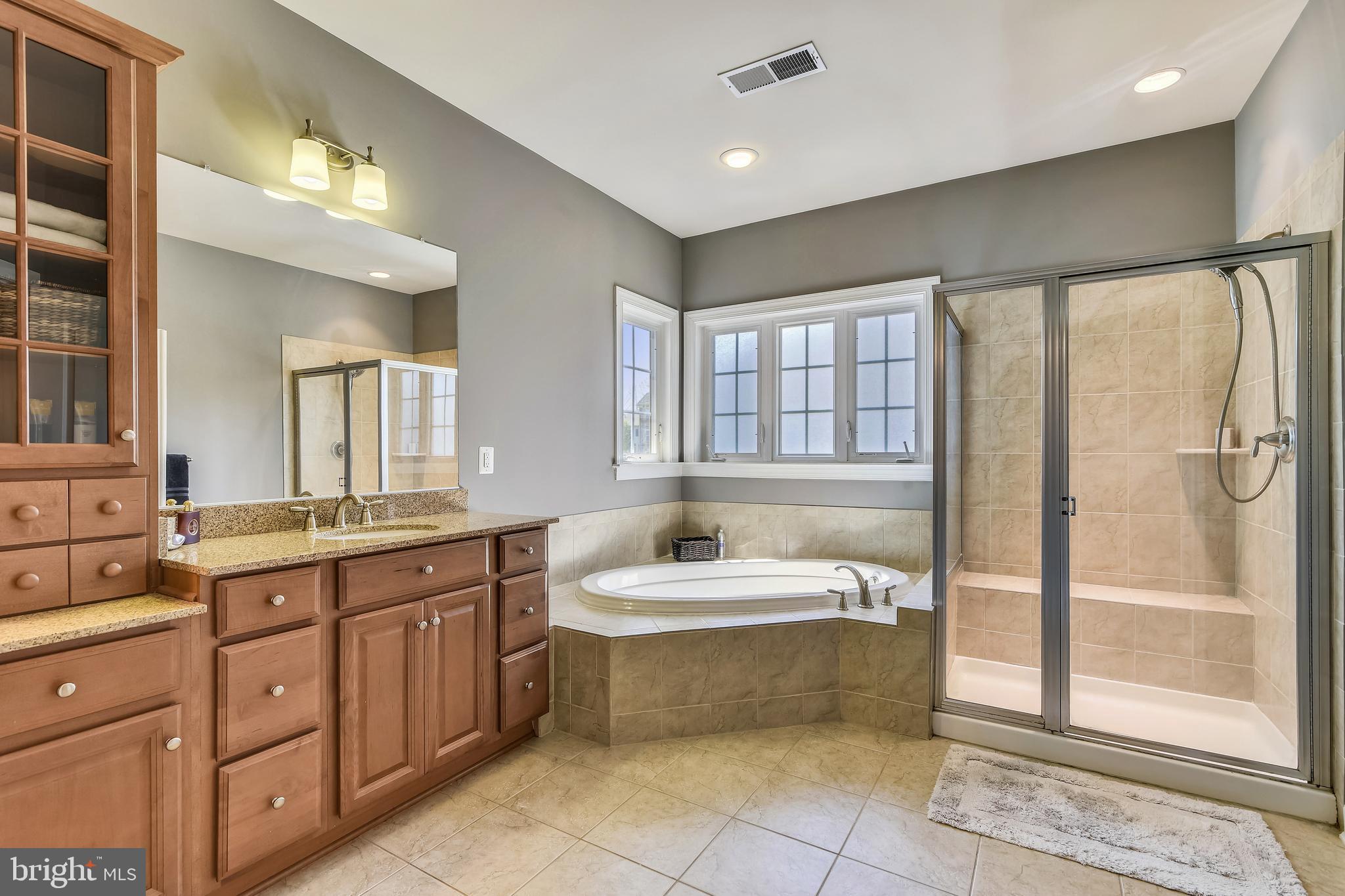 24931 Avonlea Drive Chantilly, VA 20152 - Photo 35 of 76 Primary Bath