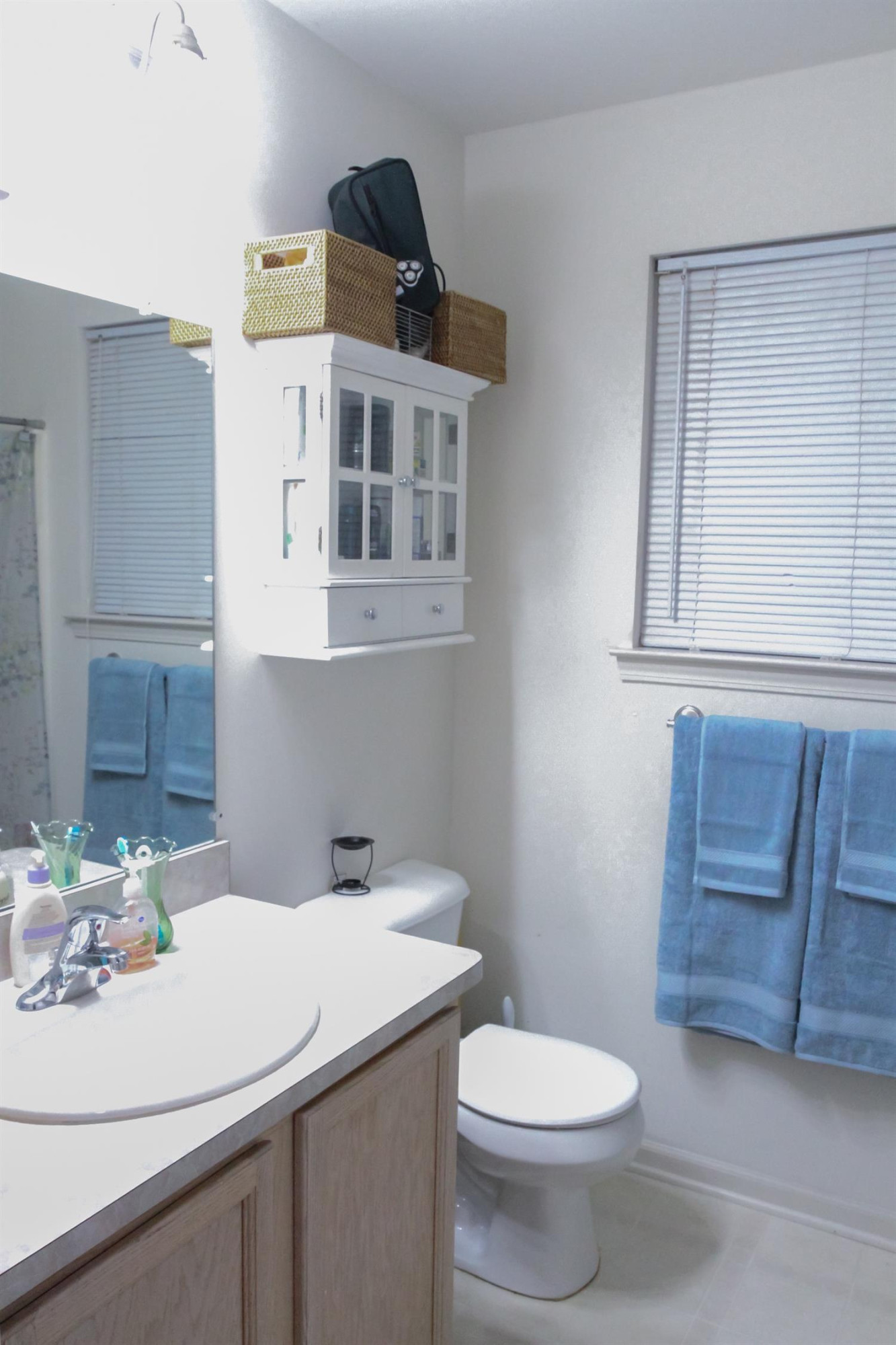 698 Elk Ridge Drive Dundee, MI 48131 - Photo 13 of 21 Photo 13