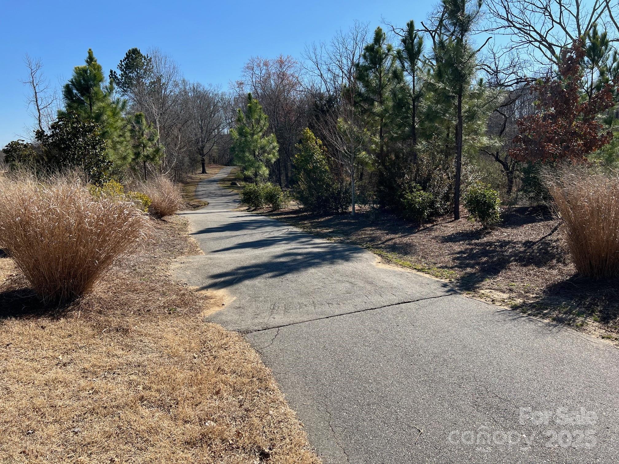 19056 Newburg Hl Road Davidson, NC 28036 - Photo 2 of 3 a view of a yard with plants and trees