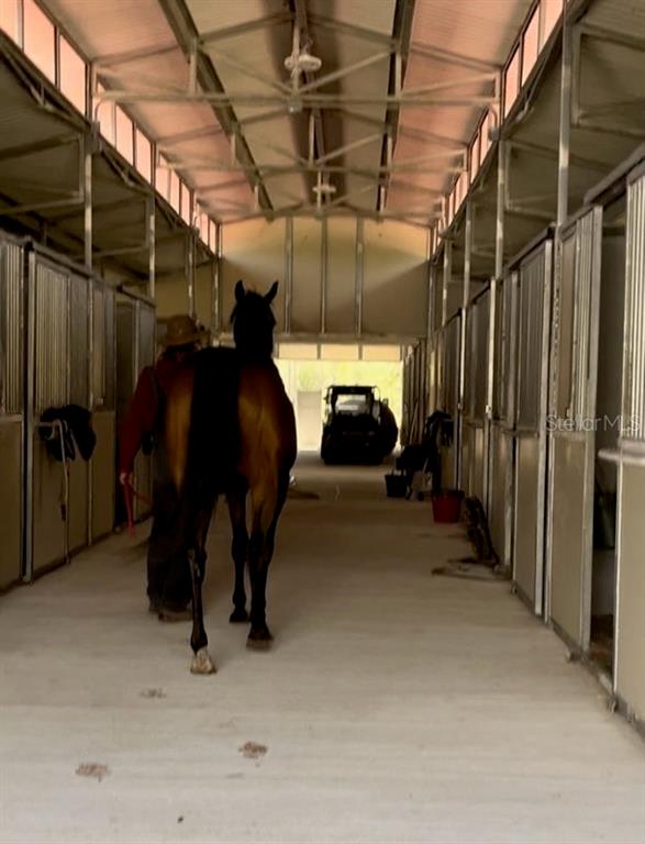 14192 Ermine Owl Road Brooksville, FL 34614 - Photo 1 of 10