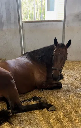 a kitchen with kitchen island granite countertop a sink cabinets and wooden floor