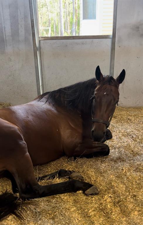 14192 Ermine Owl Road Brooksville, FL 34614 - Photo 6 of 10