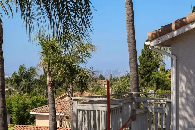 a view of a palm trees front of house
