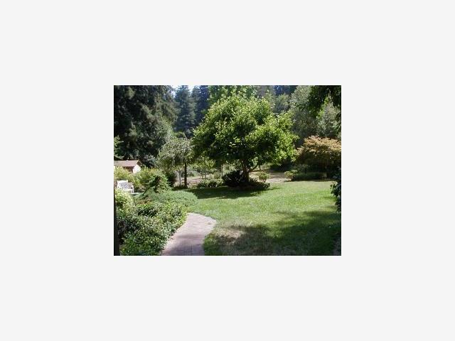355 Orchard Road Felton, CA 95018 - Photo 4 of 6 Gallery Image 4