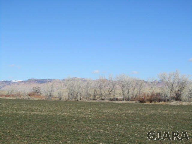 944 T Road Mack, CO 81525 - Photo 3 of 8 a view of mountain with trees in background