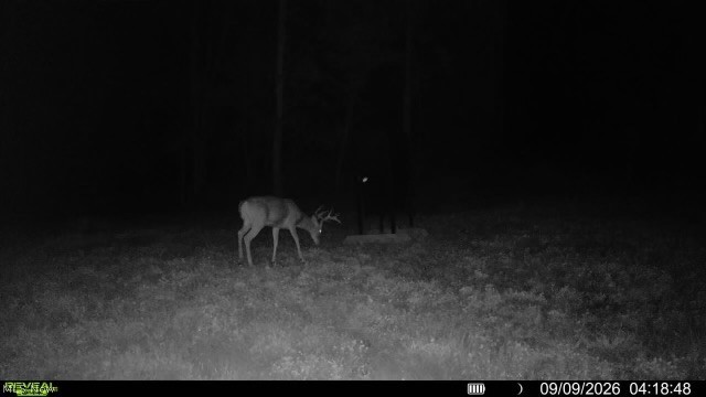 Spence Hill Road Caldwell, OH 43724 - Photo 39 of 49 Gallery Image 39