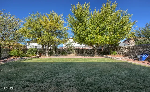 a view of park with trees
