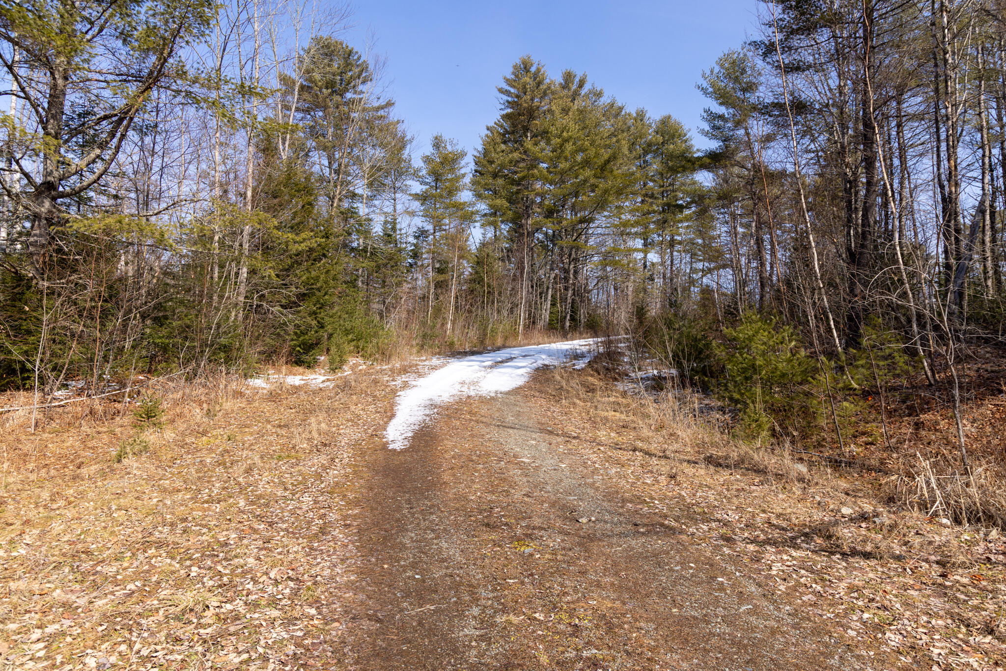M4-l38&39 West Old Main Road Lowell, ME 04493 - Photo 4 of 11 2026_03_15 Lowell IP-Greenleaf-8