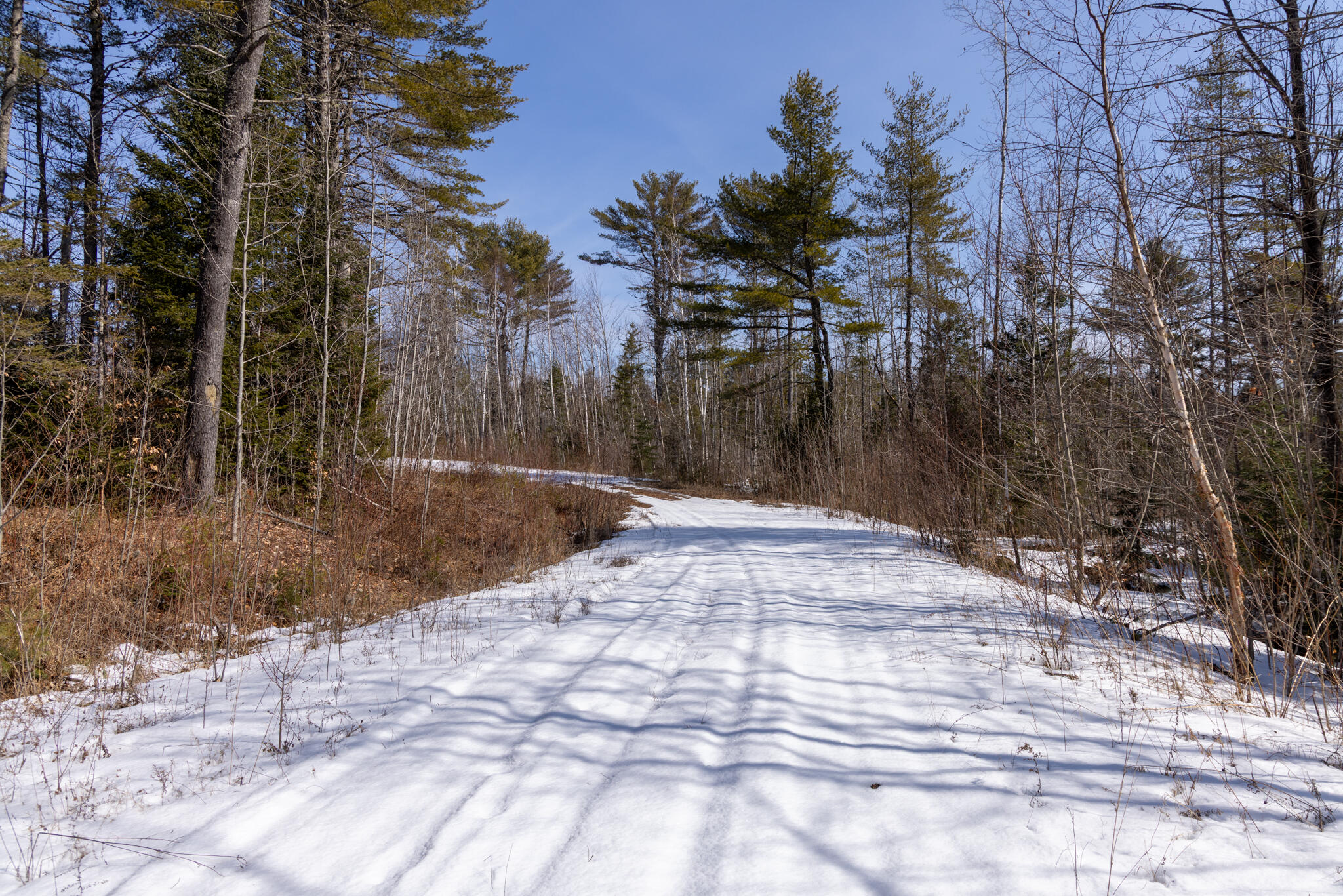 M4-l38&39 West Old Main Road Lowell, ME 04493 - Photo 7 of 11 2026_03_15 Lowell IP-Greenleaf-16