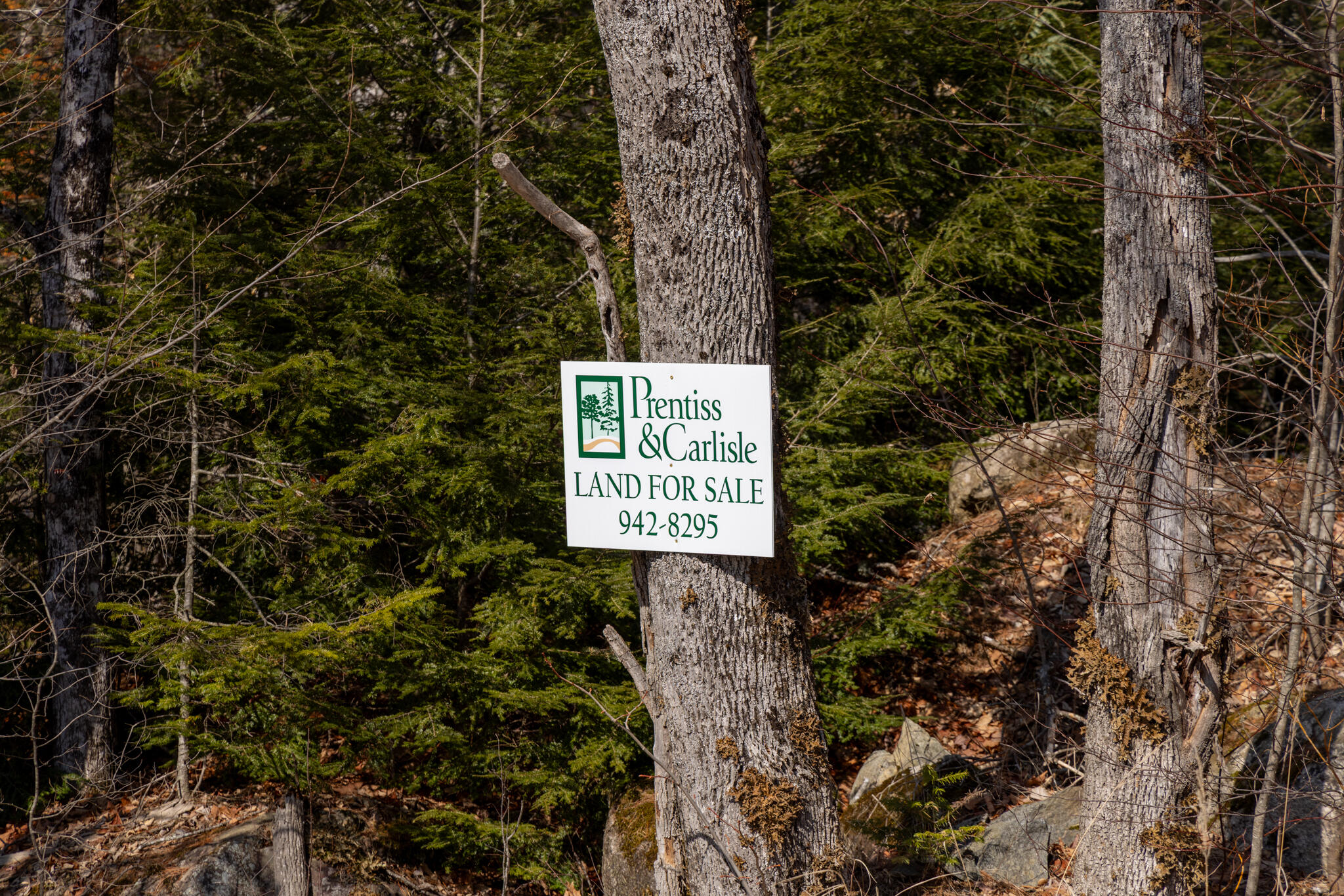 M4-l38&39 West Old Main Road Lowell, ME 04493 - Photo 8 of 11 2026_03_15 Lowell IP-Greenleaf-5