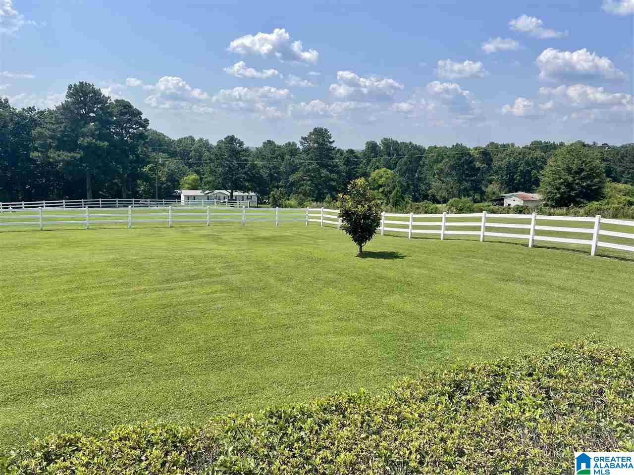 2475 Hicks Road Oneonta, AL 35121 - Photo 36 of 50 Gallery Image 36