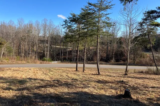 $44,900 | Lot 5 Jfk Blvd Union, Union Hall, VA 24176