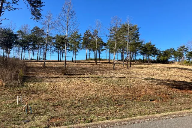 $44,900 | Lot 5 Jfk Blvd Union, Union Hall, VA 24176