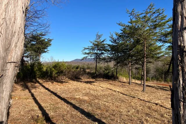 $44,900 | Lot 5 Jfk Blvd Union, Union Hall, VA 24176