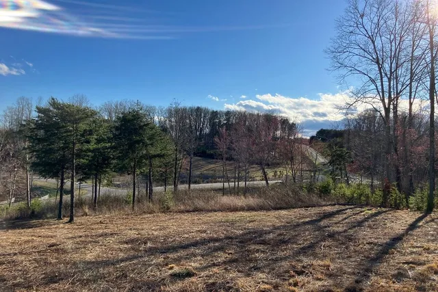 $44,900 | Lot 5 Jfk Blvd Union, Union Hall, VA 24176