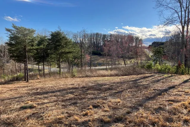 $44,900 | Lot 5 Jfk Blvd Union, Union Hall, VA 24176