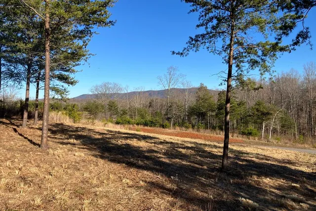 $44,900 | Lot 5 Jfk Blvd Union, Union Hall, VA 24176