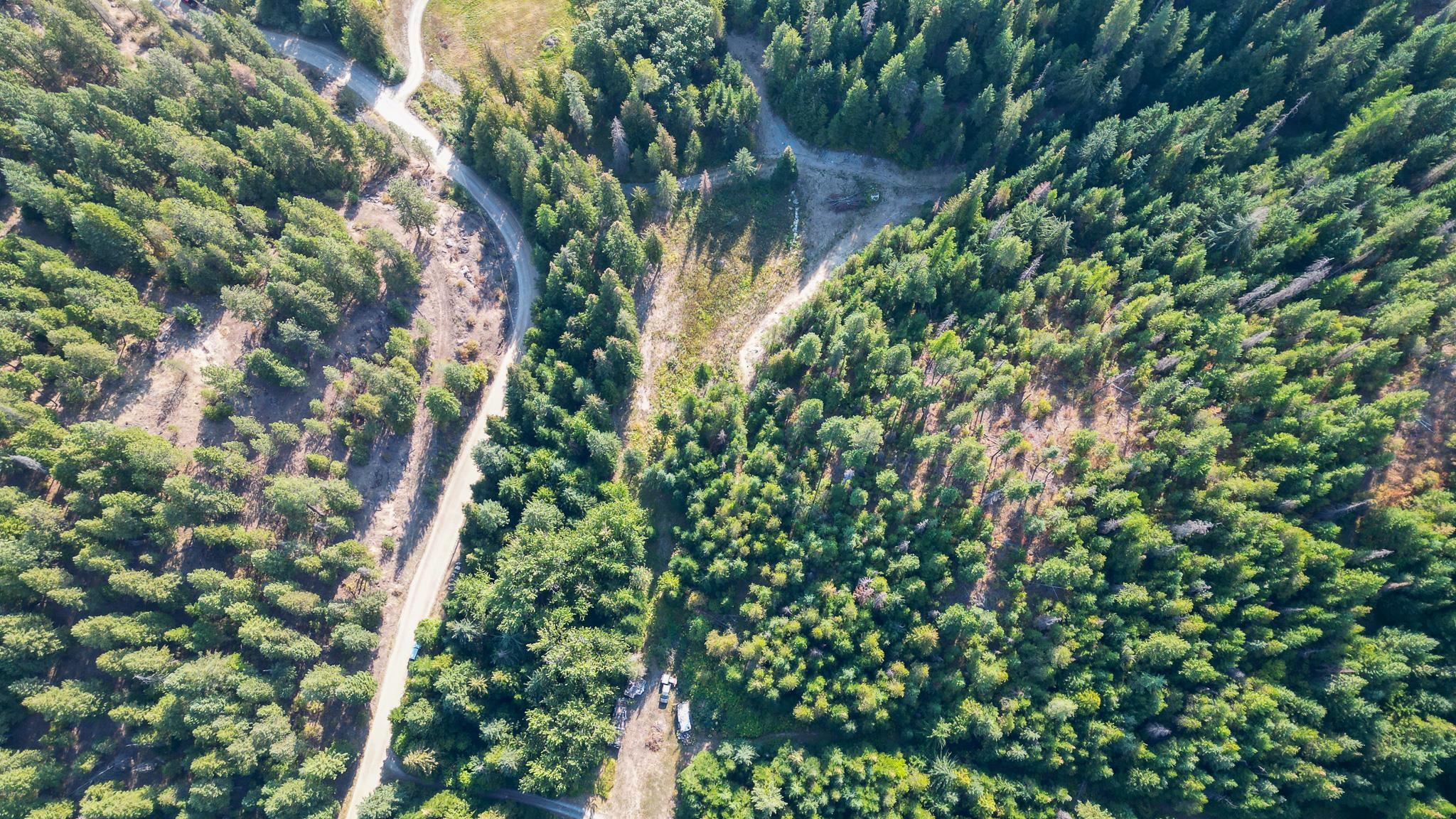 20104 East Mountain View Road Newman Lake, WA 99025 - Photo 4 of 20 Gallery Image 4