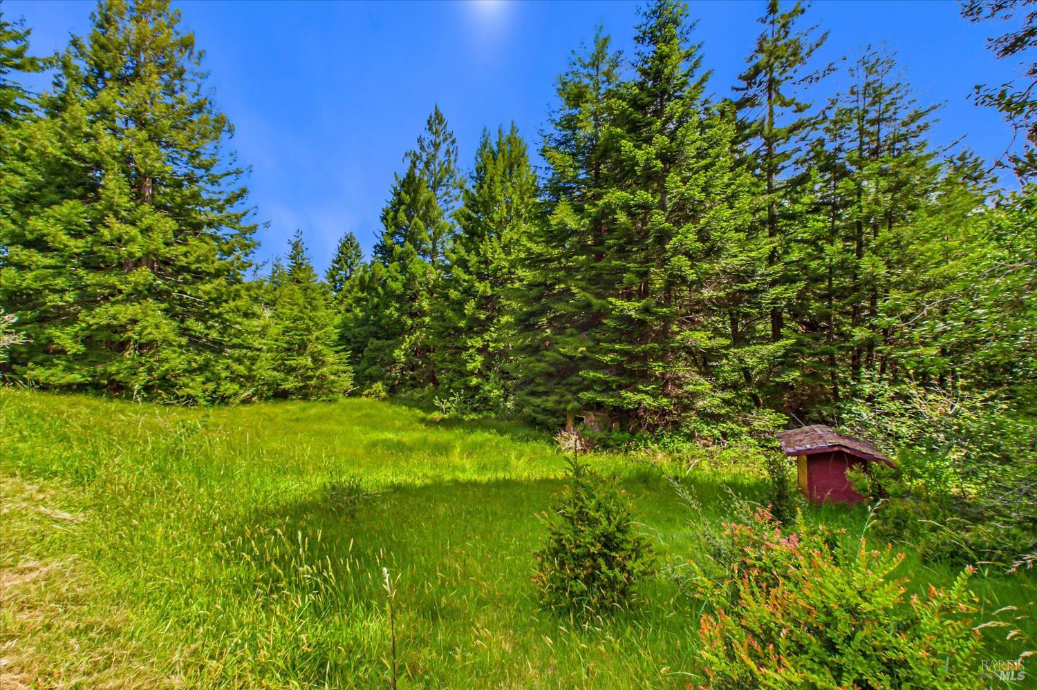 4281 Mitchell Road Eureka, CA 95503 - Photo 58 of 72