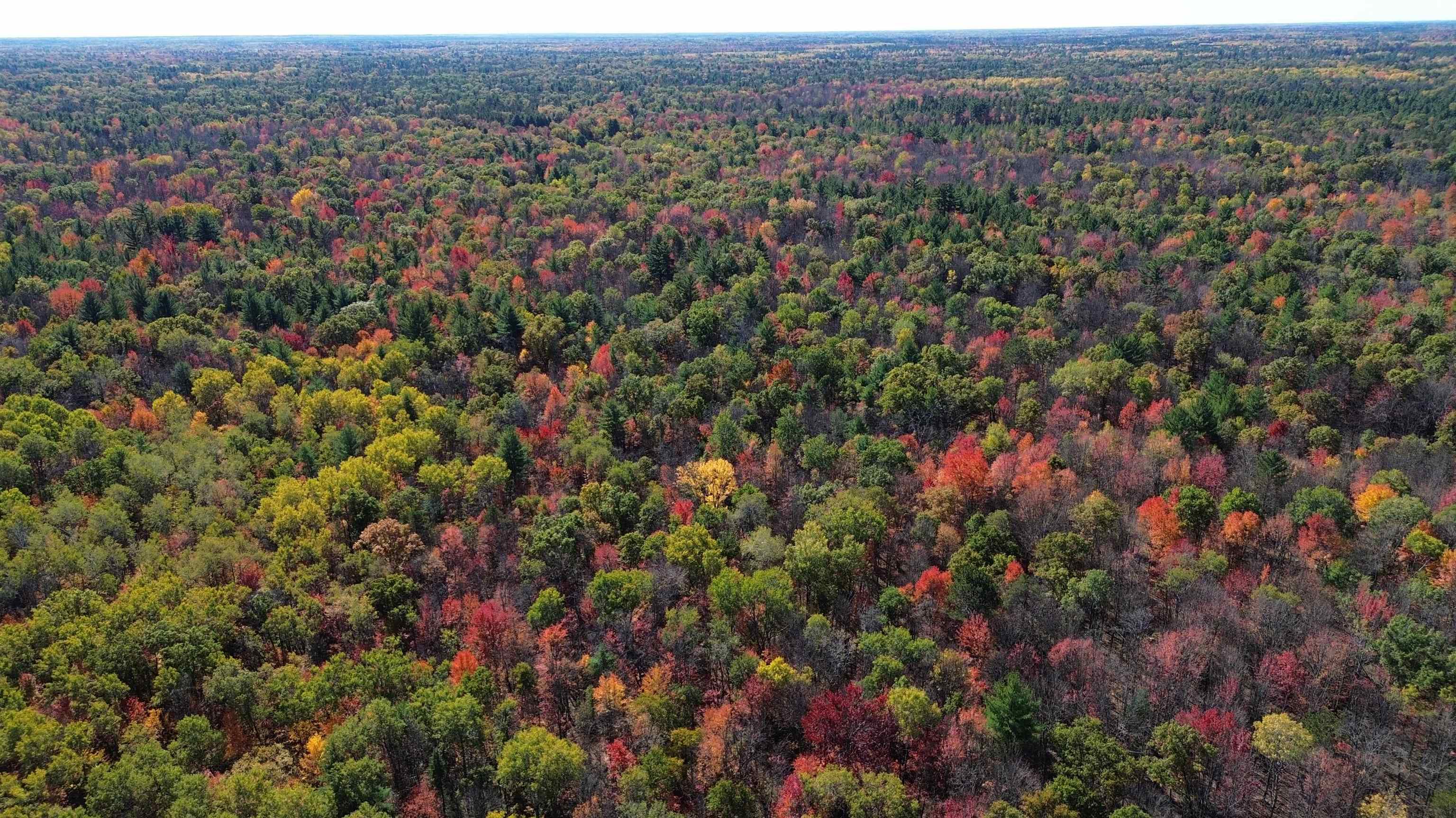 0 Timber Trail Prescott, MI 48756 - Photo 12 of 44