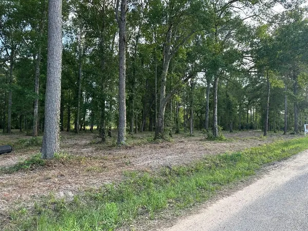 a view of outdoor space and green space
