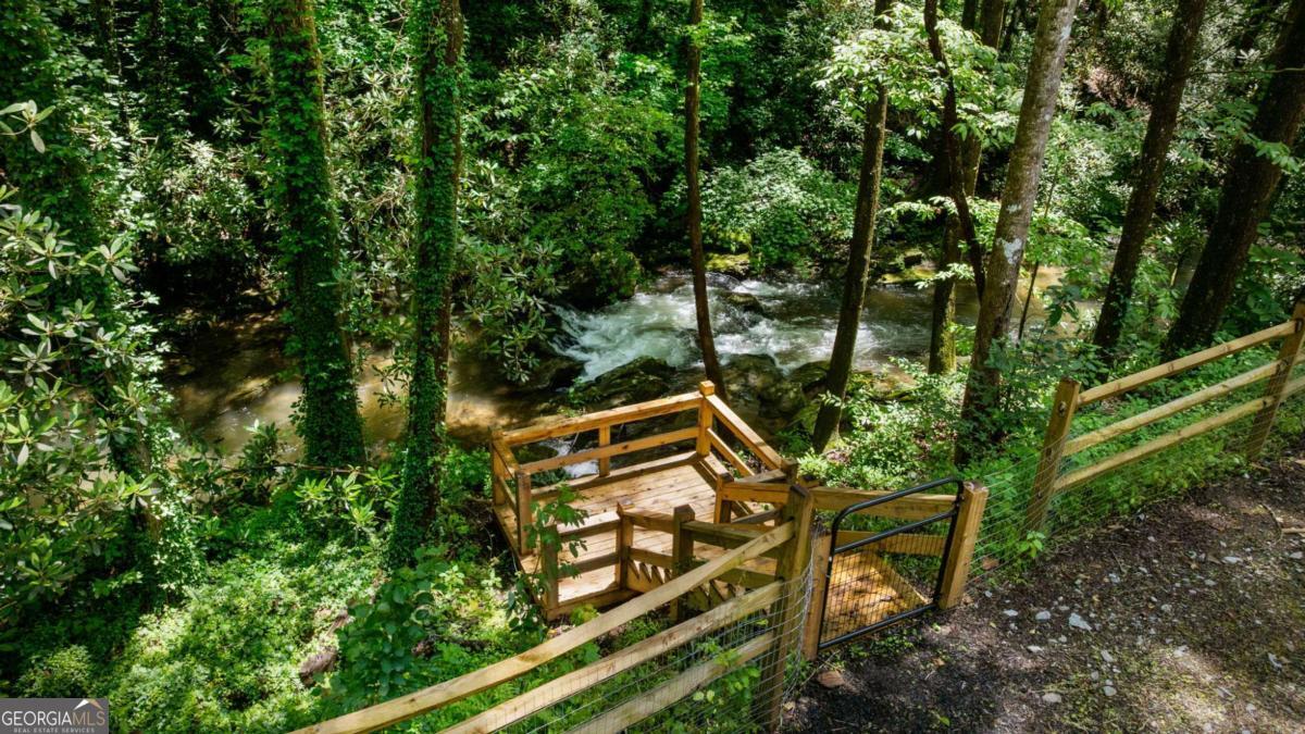 10323 Grassy Mountain Road Ellijay, GA 30540 - Photo 12 of 70 a view of a yard with plants and wooden fence