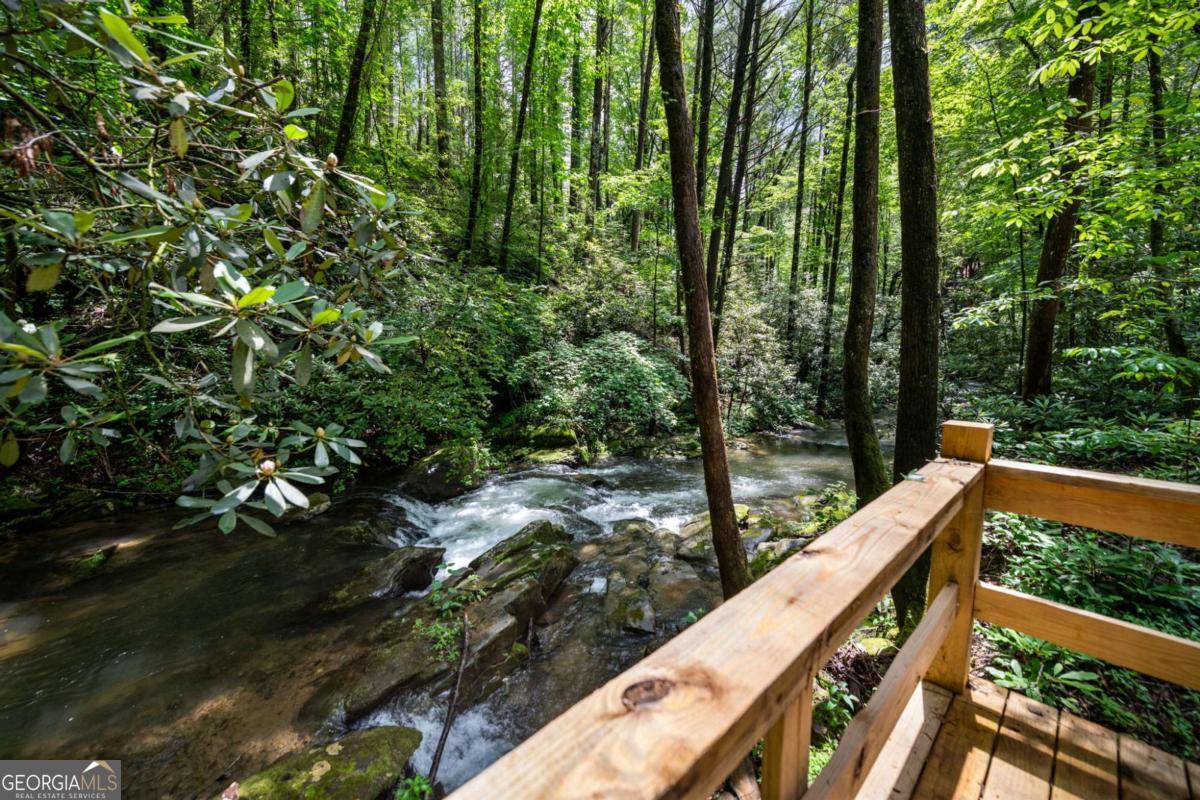 10323 Grassy Mountain Road Ellijay, GA 30540 - Photo 6 of 70