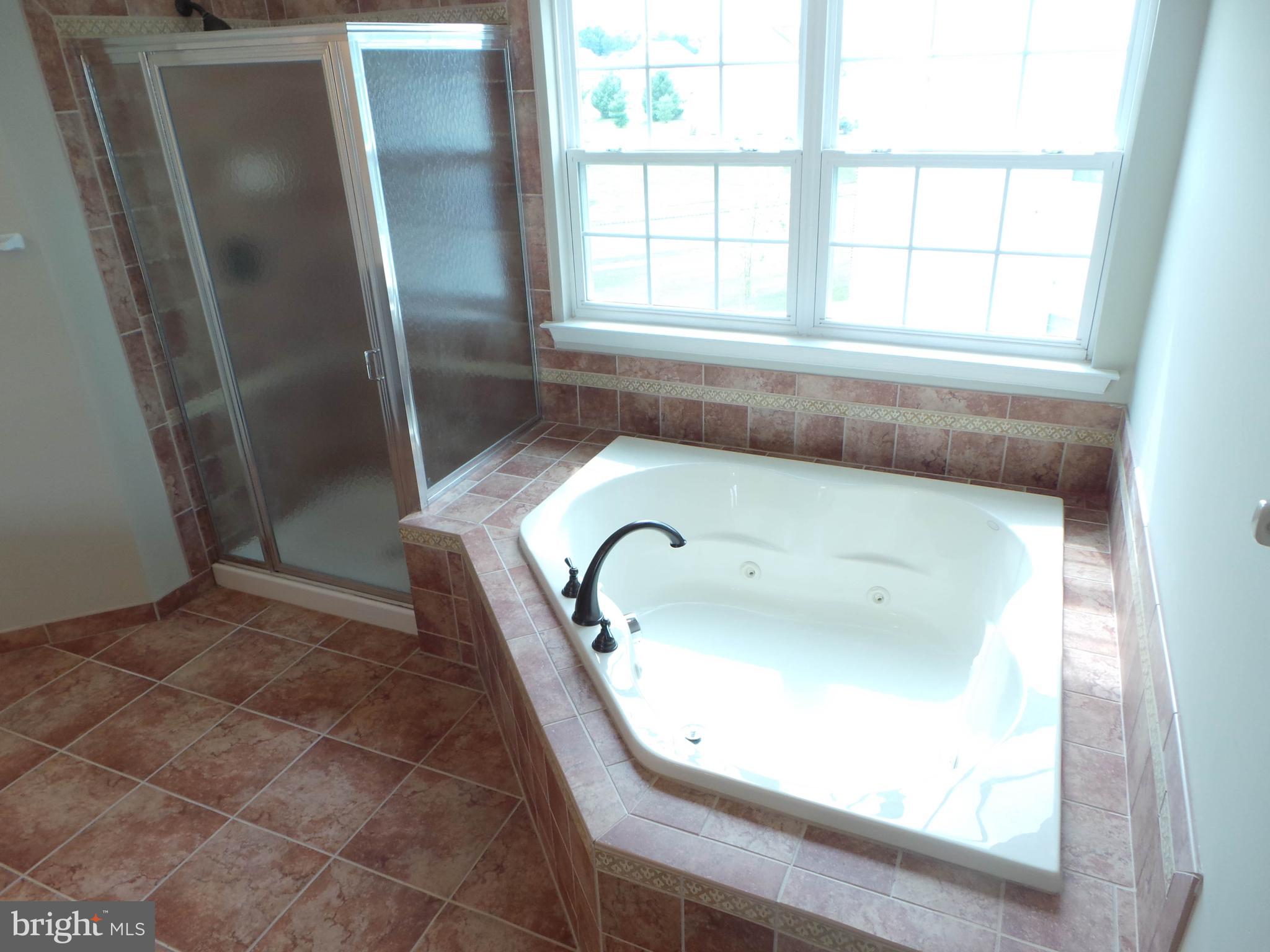 12 Box Turtle Lane Sicklerville, NJ 08081 - Photo 32 of 47 Gallery Image 32