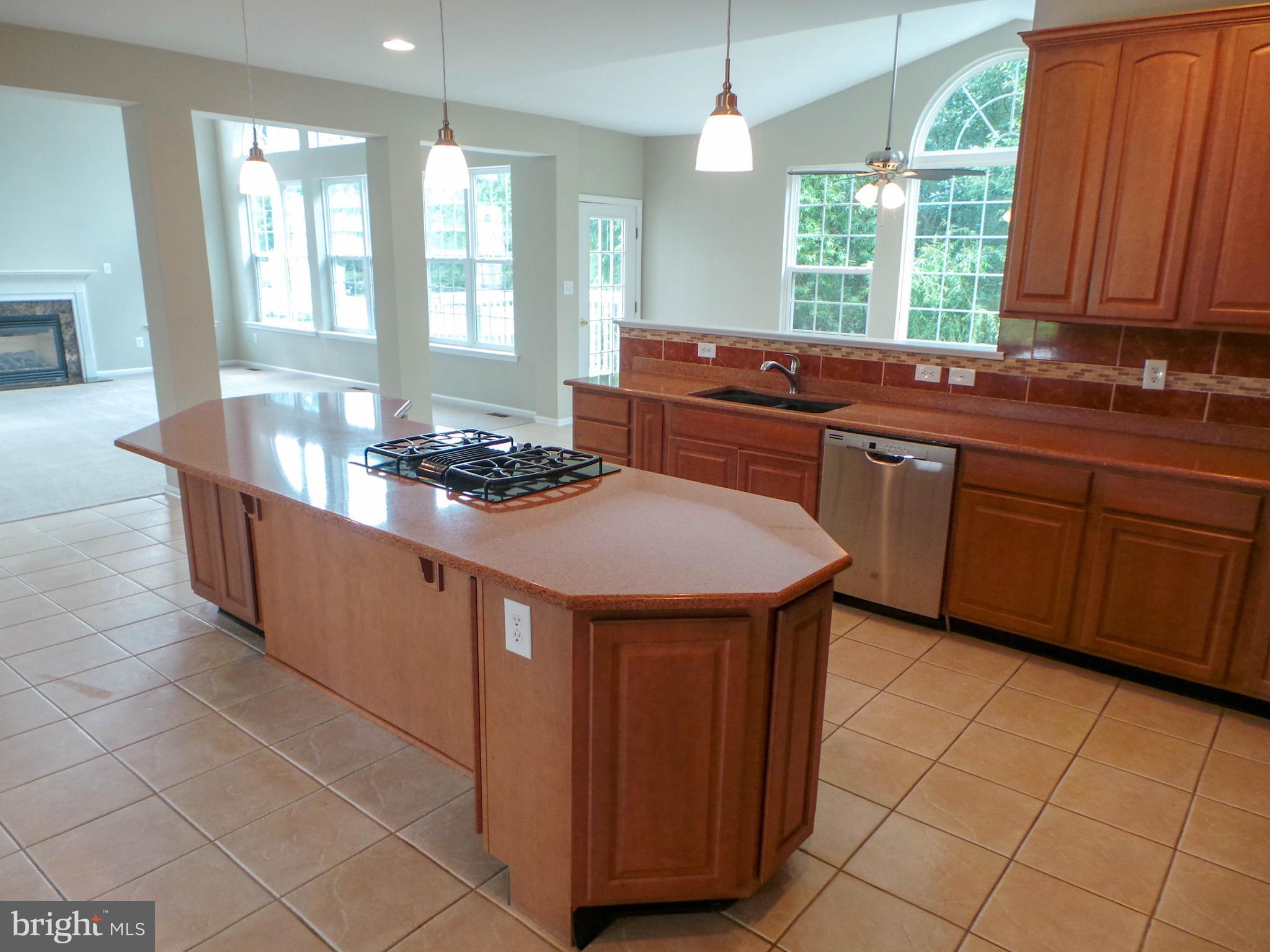 12 Box Turtle Lane Sicklerville, NJ 08081 - Photo 8 of 47 Gallery Image 8