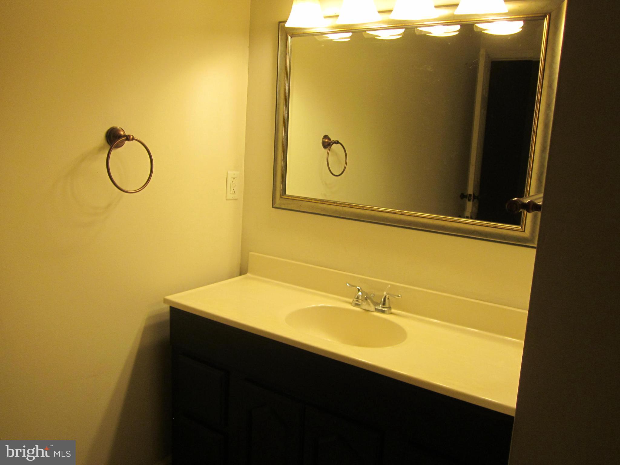 22487 Hillsboro Road Denton, MD 21629 - Photo 11 of 47 ANOTHER VIEW OF BATHROOM