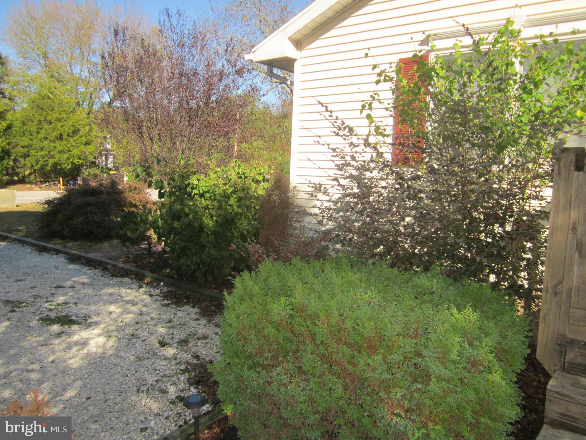22487 Hillsboro Road Denton, MD 21629 - Photo 24 of 47 LANDSCAPING