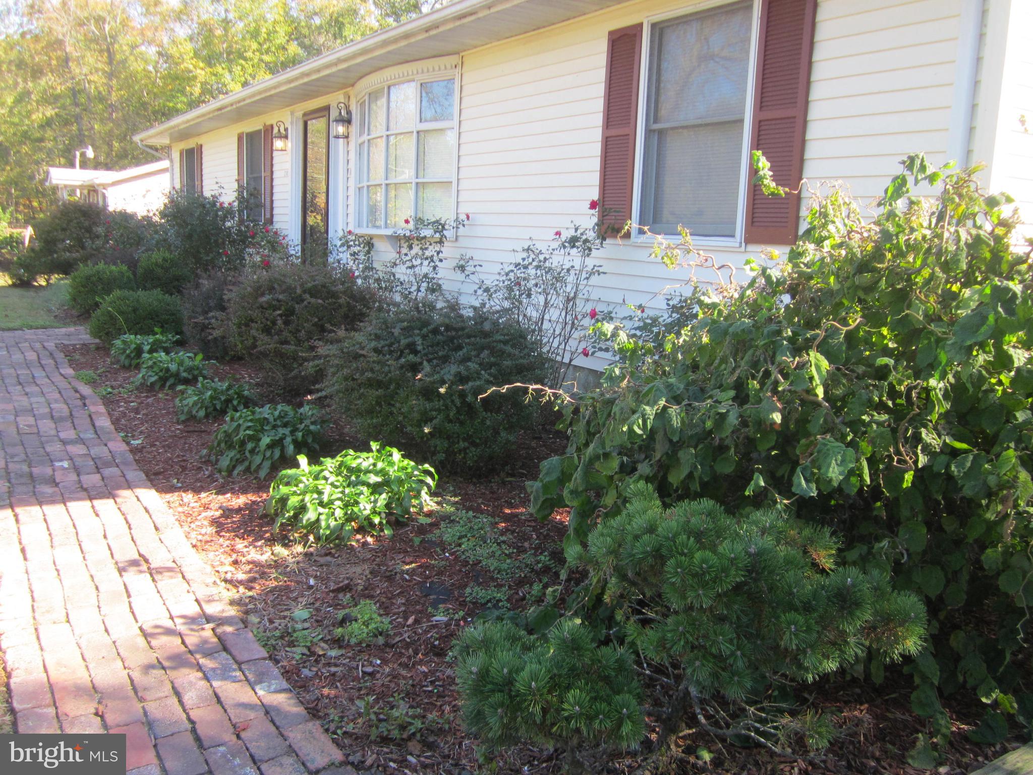 22487 Hillsboro Road Denton, MD 21629 - Photo 26 of 47 LANDSCAPING