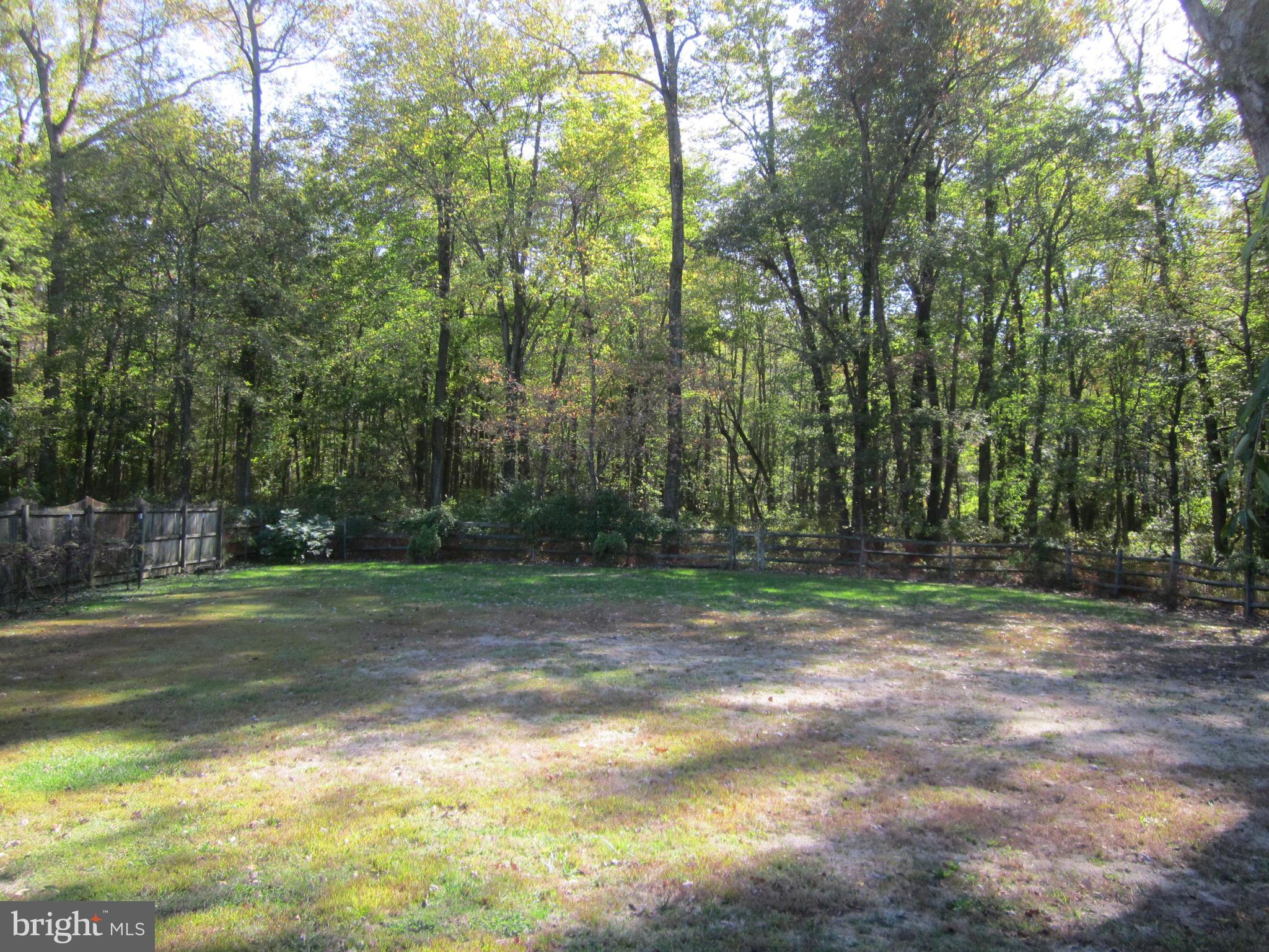 22487 Hillsboro Road Denton, MD 21629 - Photo 30 of 47 PRIVATE AND SPACIOUS FENCED BACK YARD