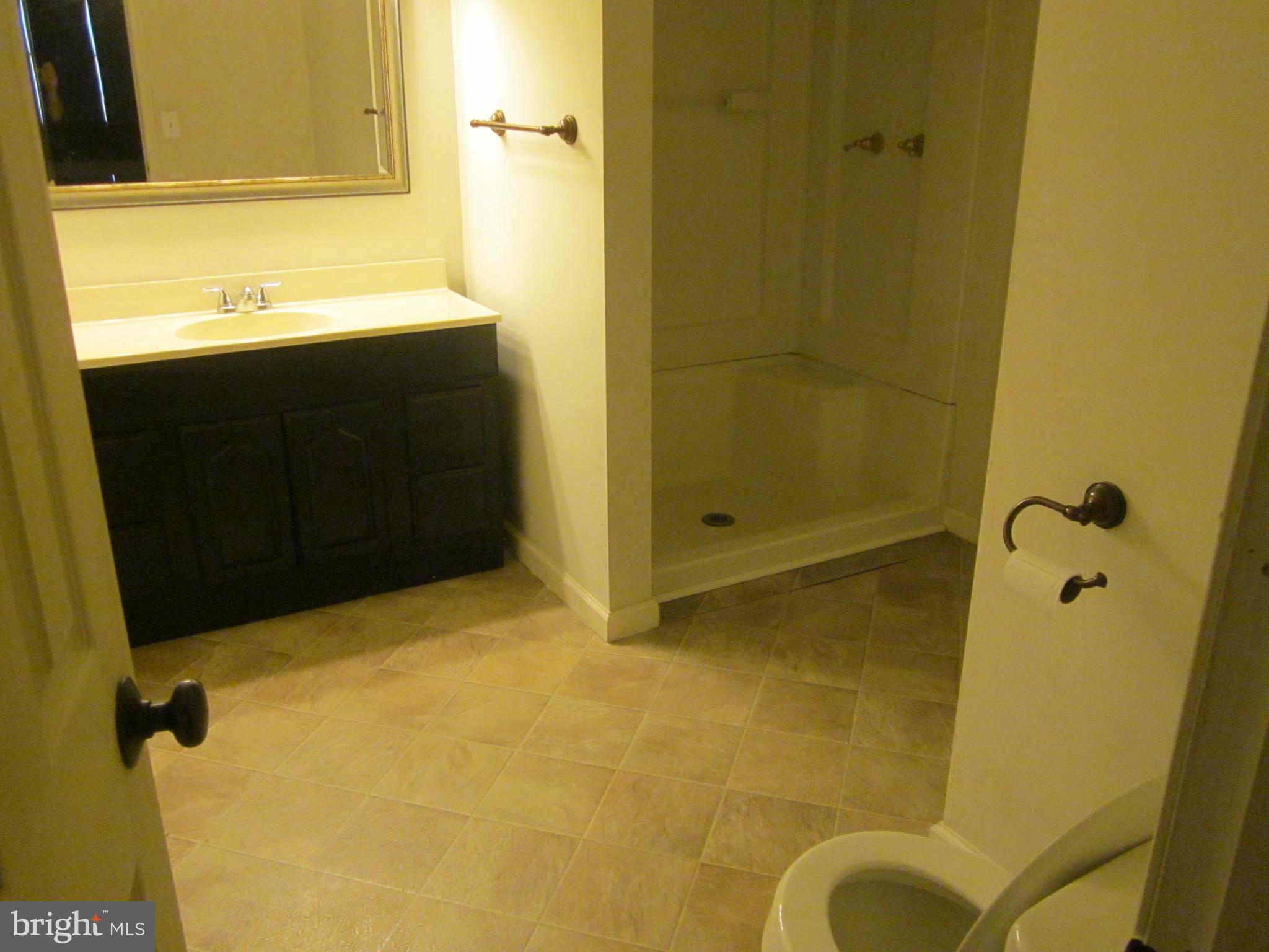 22487 Hillsboro Road Denton, MD 21629 - Photo 10 of 47 BATHROOM