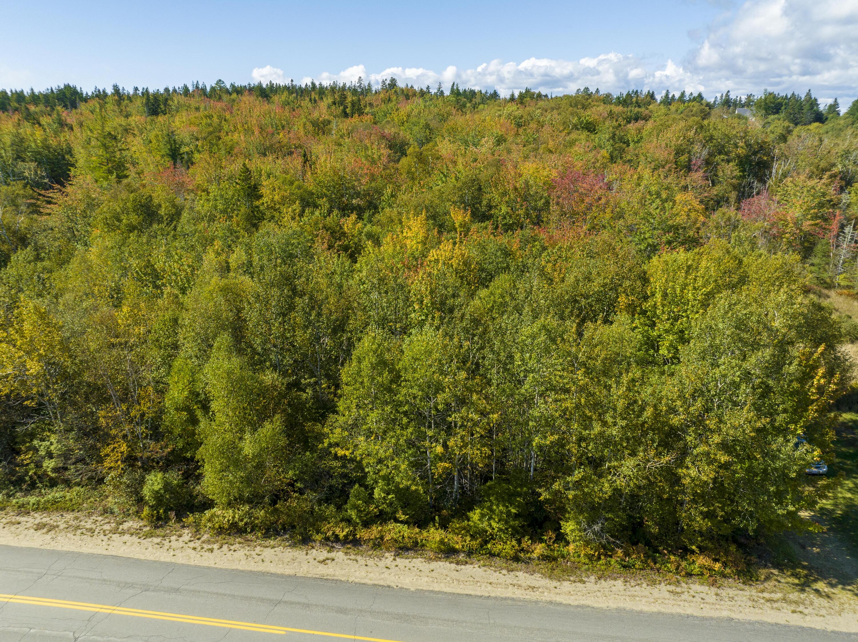 M17-l40 Ridge Road Machiasport, ME 04655 - Photo 8 of 17 Bucks Harbor Map 17 Lot 40 (3 of 18)
