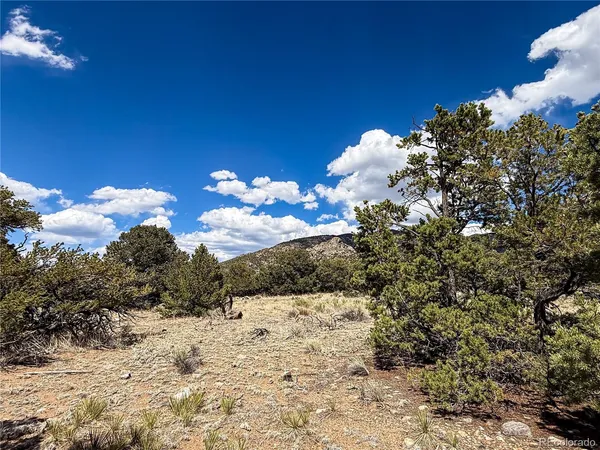 $20,000 | 107 Crosstimber Lane, Mosca, CO 81146