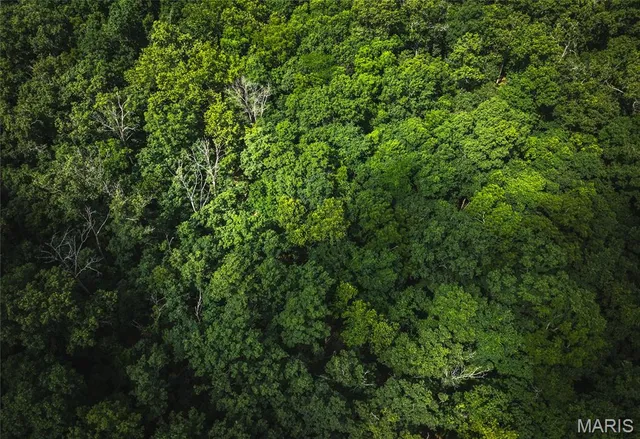 $504,000 | Road-tract 1 Macks Creek, Macks Creek, MO 65786