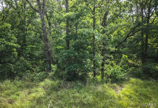 $504,000 | Road-tract 1 Macks Creek, Macks Creek, MO 65786