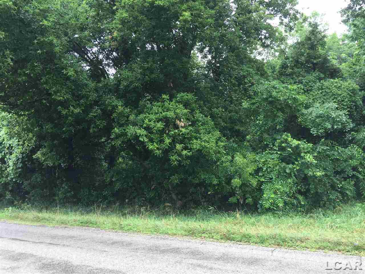 15000 Rome Road Manitou Beach, MI 49253 - Photo 2 of 4