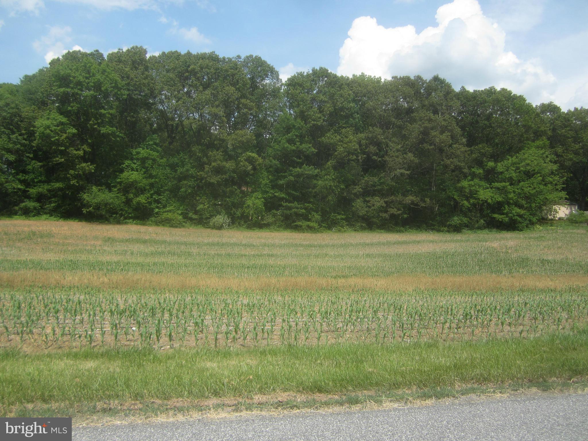 Bulls Sawmill Road Freeland, MD 21053 - Photo 1 of 12 a view of a field with an ocean view