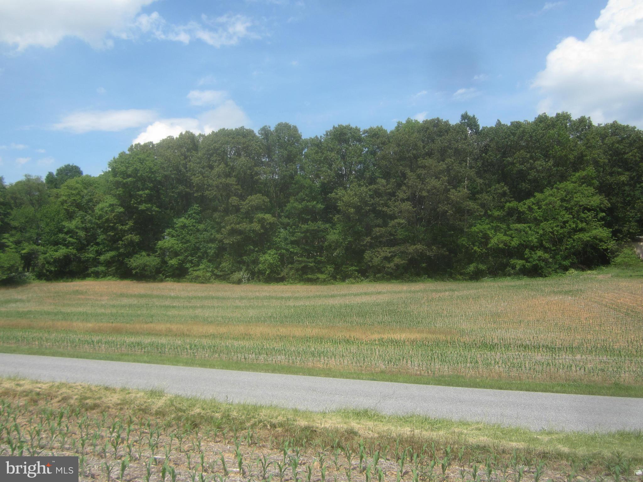 Bulls Sawmill Road Freeland, MD 21053 - Photo 3 of 12 a view of a field with an ocean