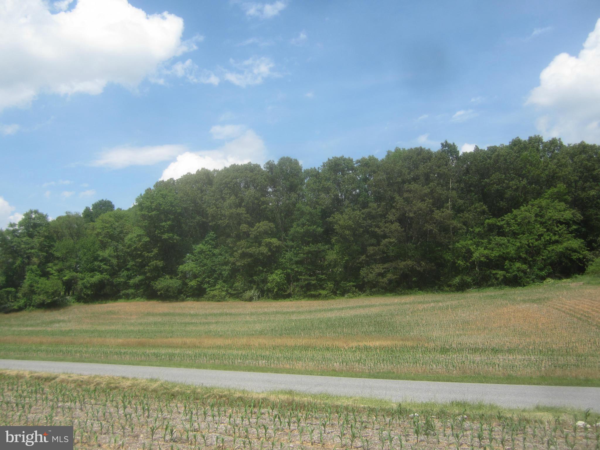 Bulls Sawmill Road Freeland, MD 21053 - Photo 4 of 12 a view of a field with an ocean
