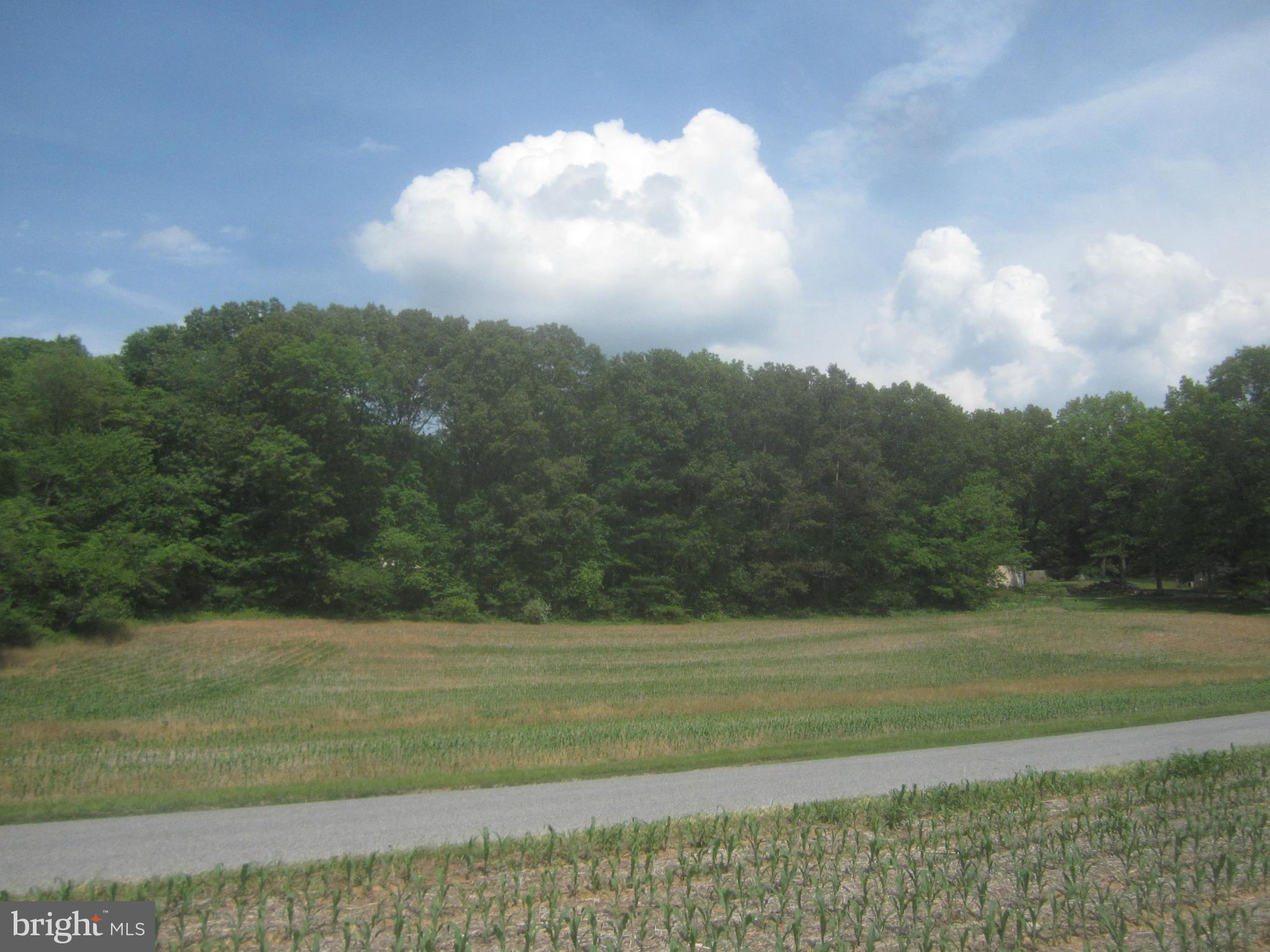 Bulls Sawmill Road Freeland, MD 21053 - Photo 5 of 12 a view of a yard