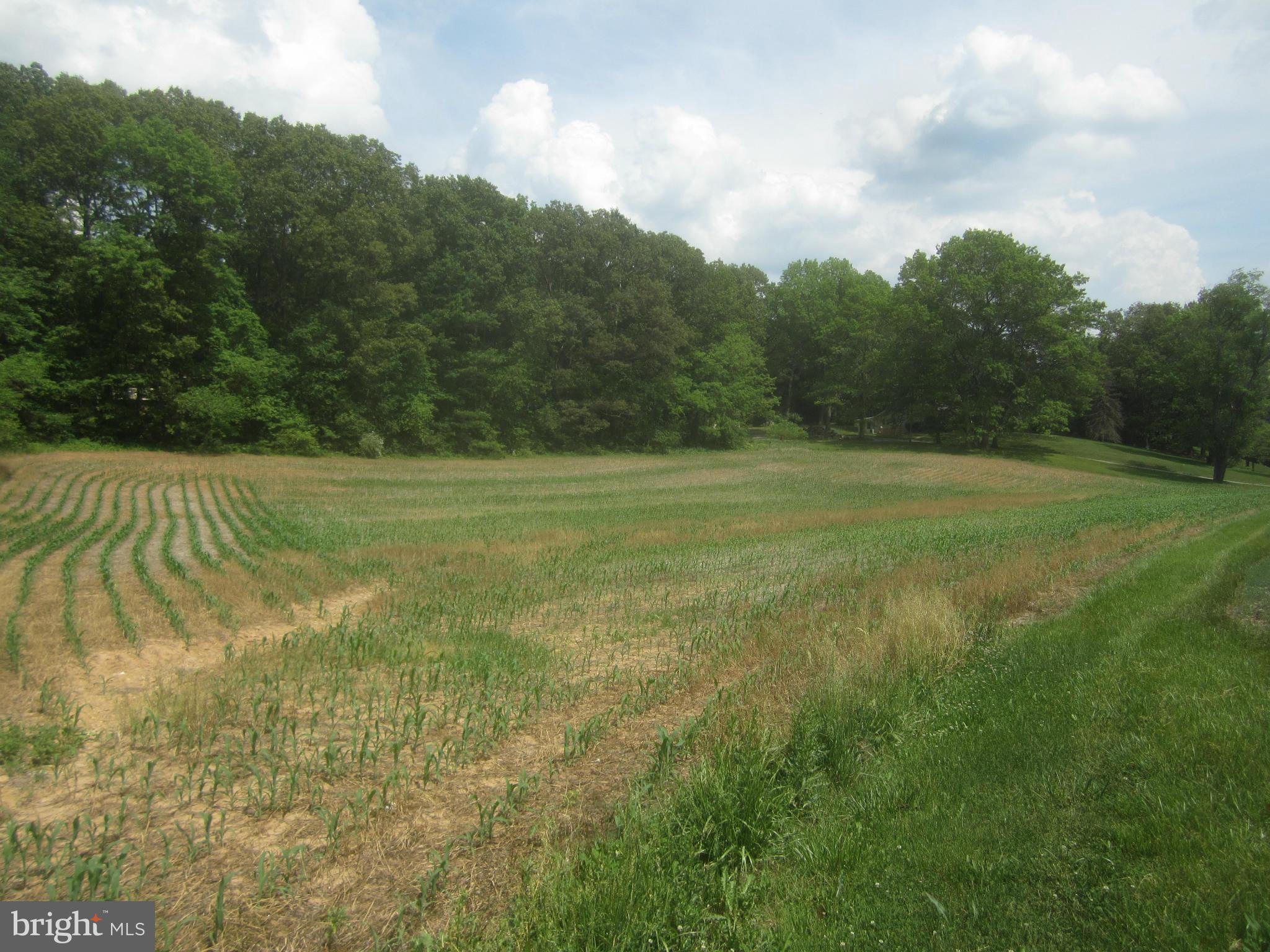 Bulls Sawmill Road Freeland, MD 21053 - Photo 6 of 12 a view of field with trees in the background