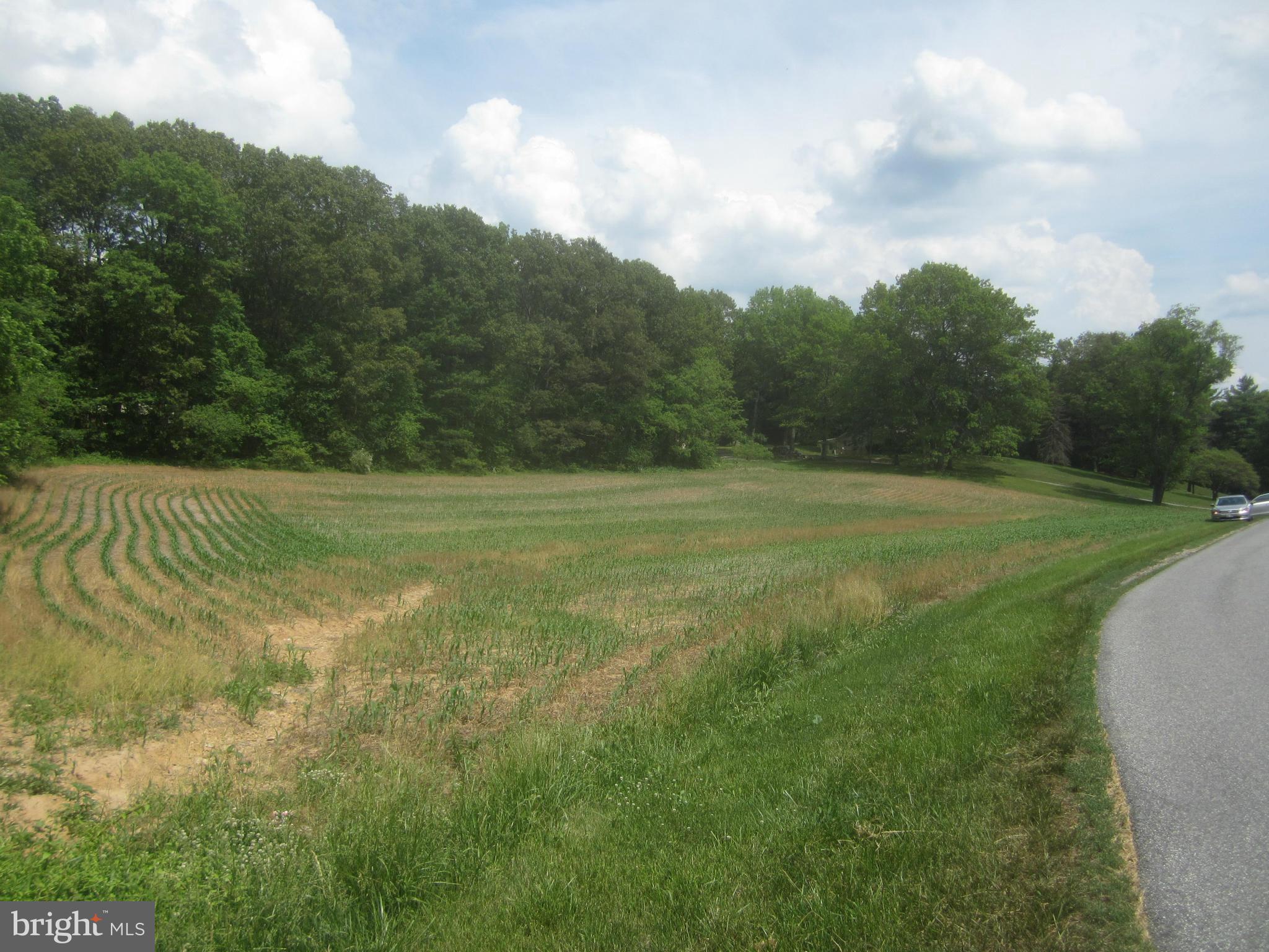 Bulls Sawmill Road Freeland, MD 21053 - Photo 7 of 12 a view of a field with an trees in the background