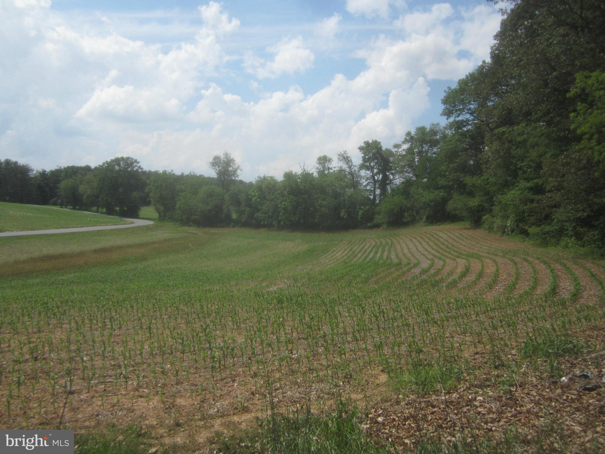 Bulls Sawmill Road Freeland, MD 21053 - Photo 9 of 12 a view of a field with an trees