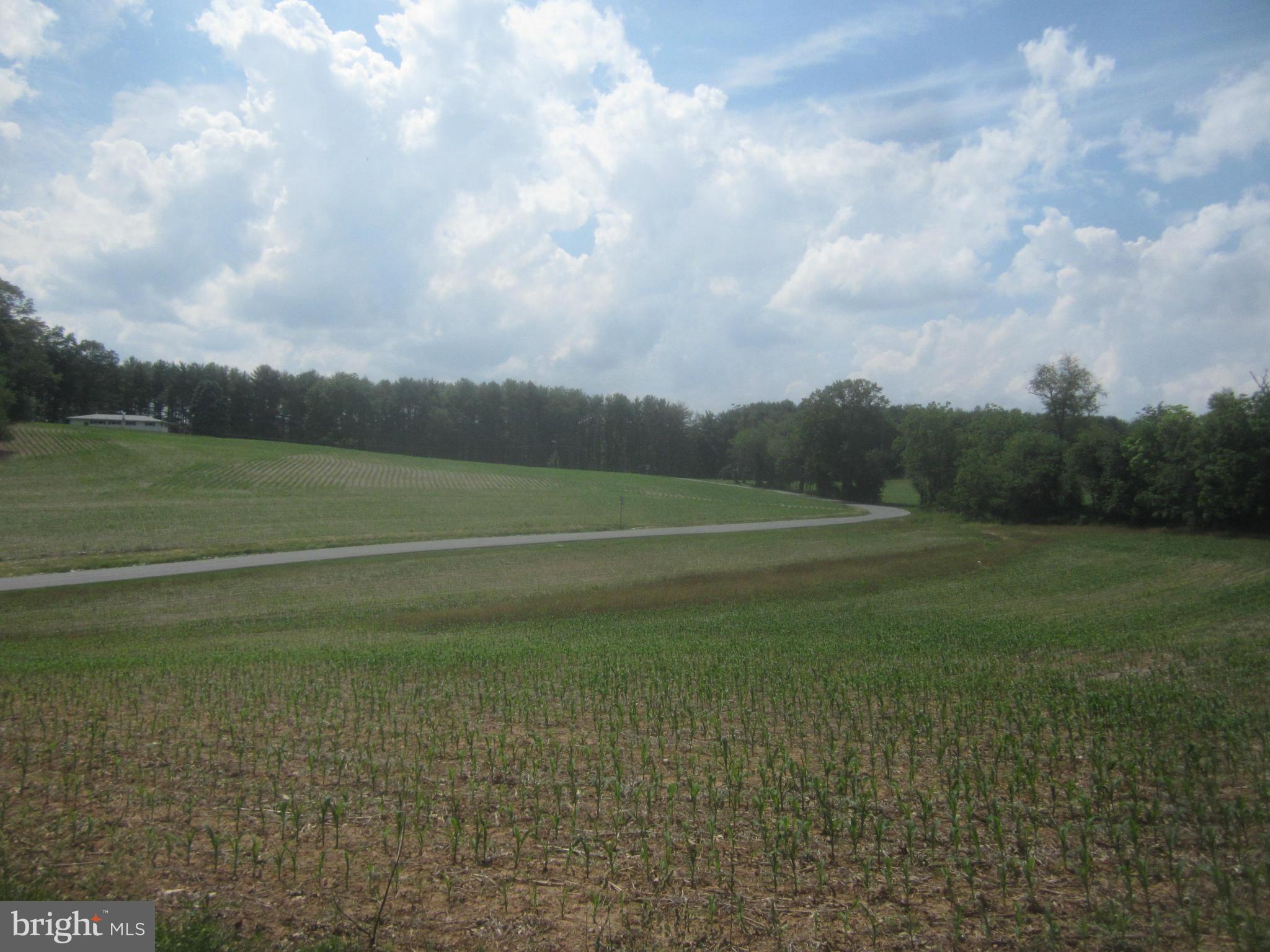 Bulls Sawmill Road Freeland, MD 21053 - Photo 10 of 12 a view of a field with trees in background