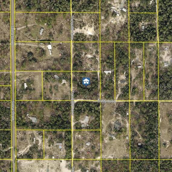 Trinity Road Brooksville, FL 34614 - Photo 2 of 4